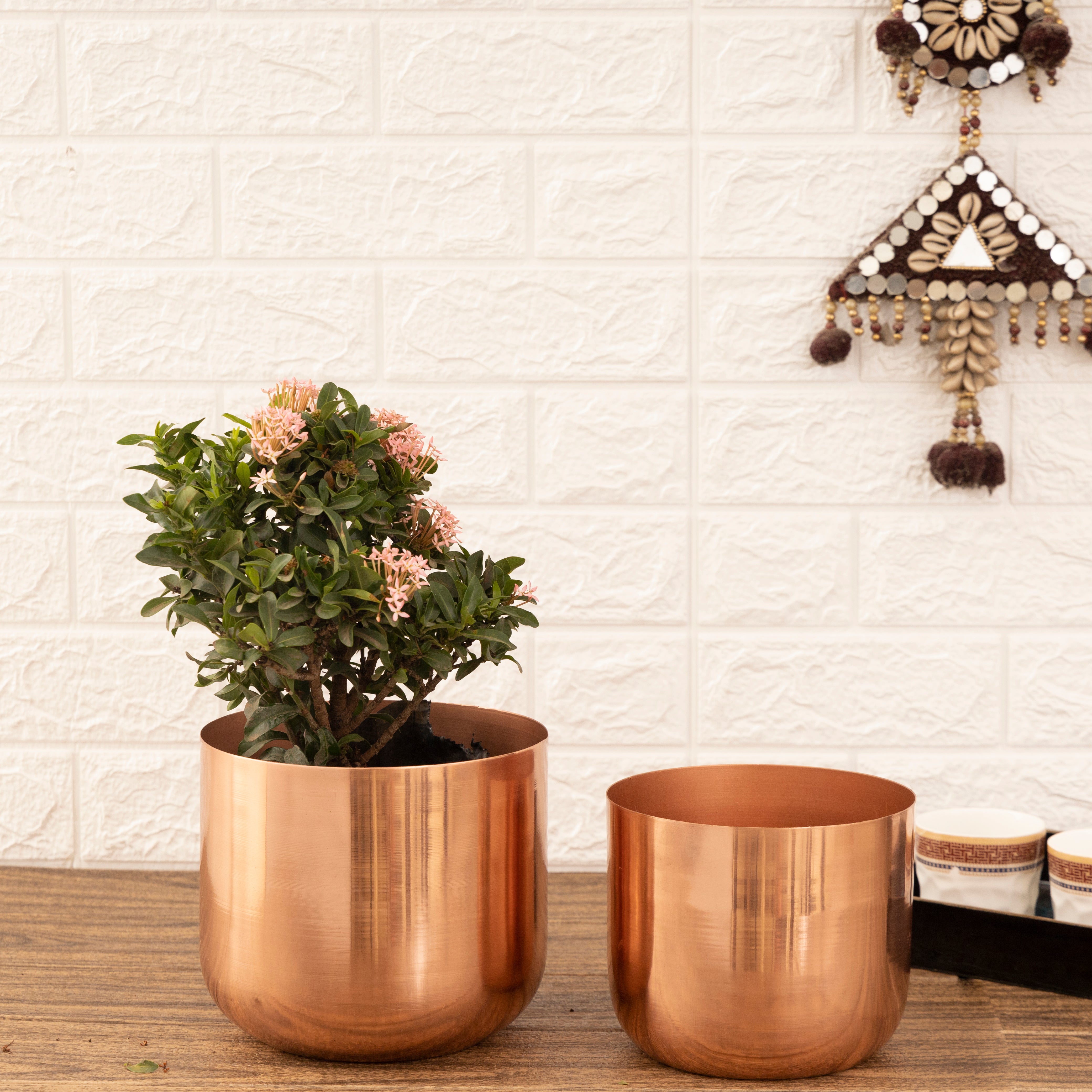 Luxe Rose Gold Planters (Pack of 2)
